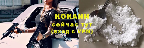 герыч Пересвет