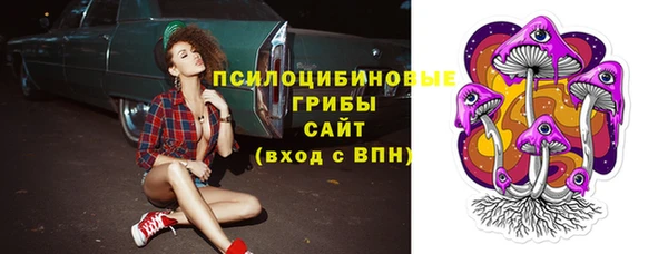 герыч Пересвет