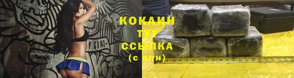 прущие крисы Вязьма