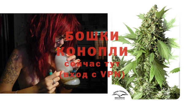 герыч Пересвет
