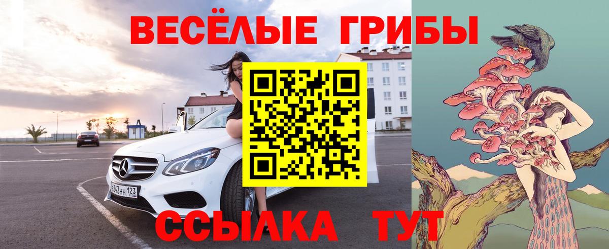 Псилоцибиновые грибы Magic Shrooms Балабаново